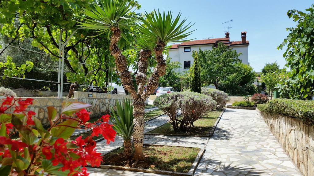 Apartman Urban Premium (adults Only) *